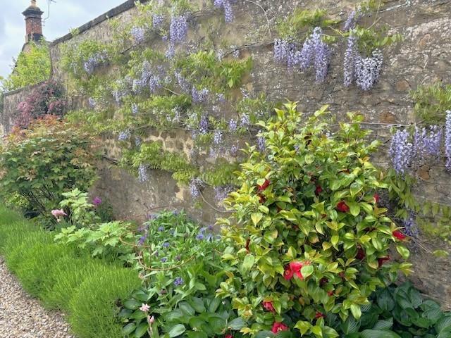 Garden 2.jpg
