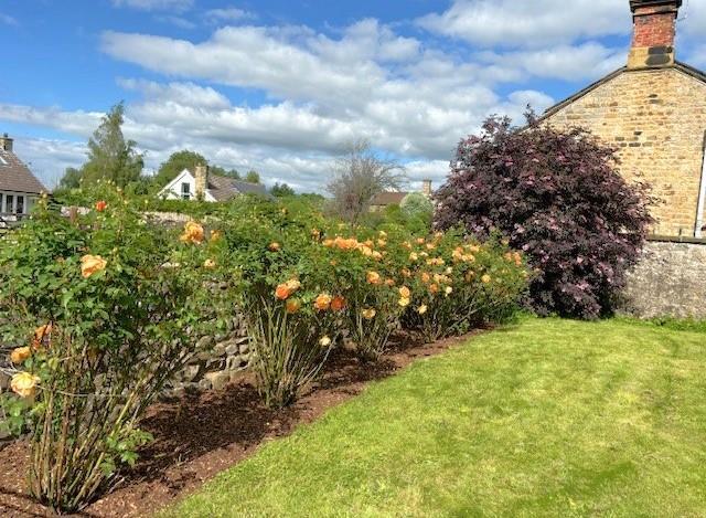 Garden 5.jpg