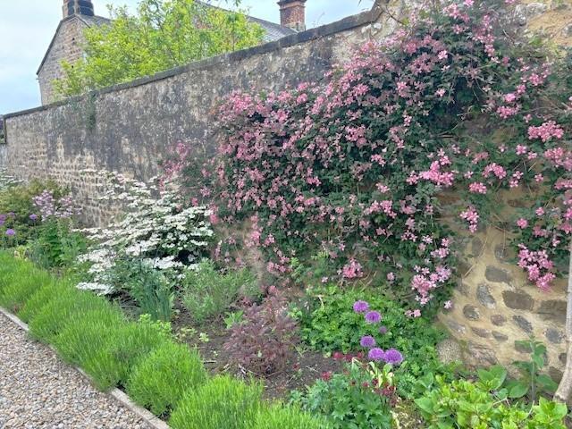 Garden 3.jpg