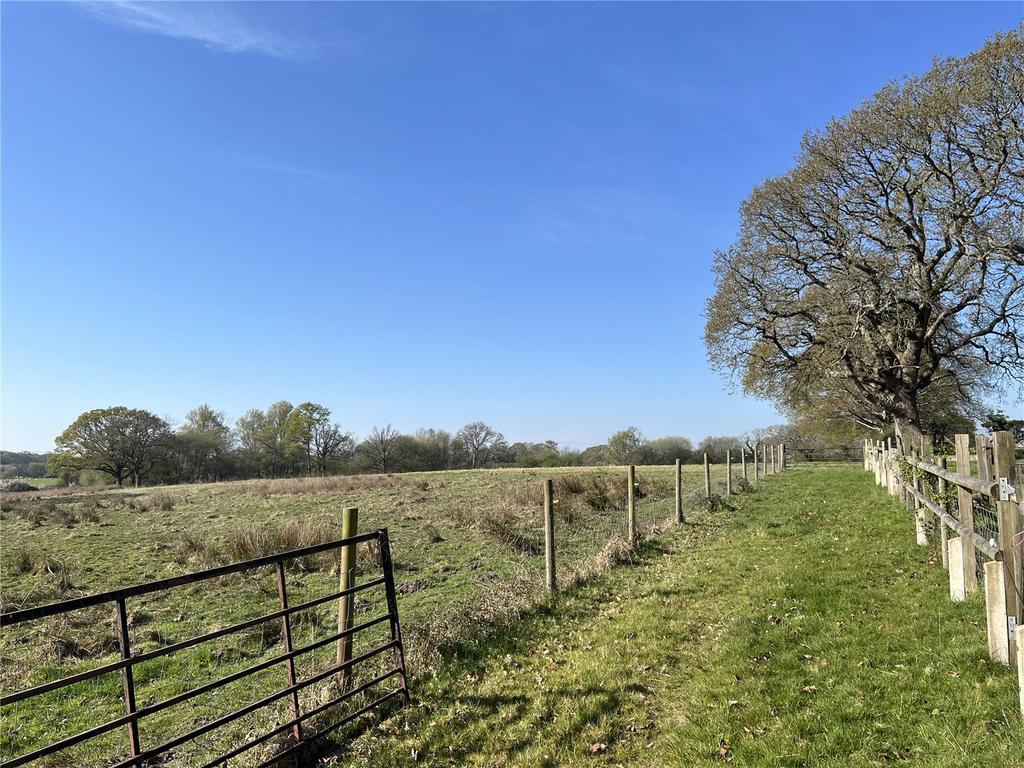 The Paddocks