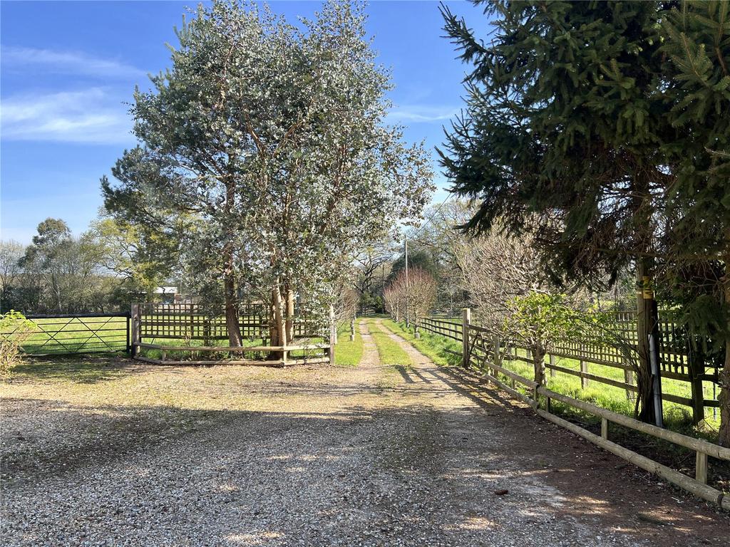 Driveway