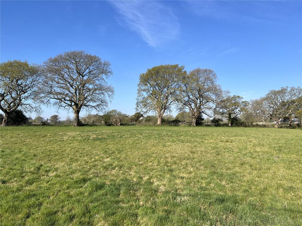 The Paddocks