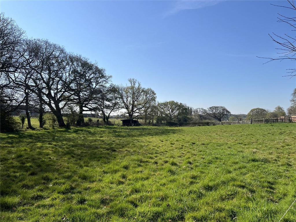 The Paddocks