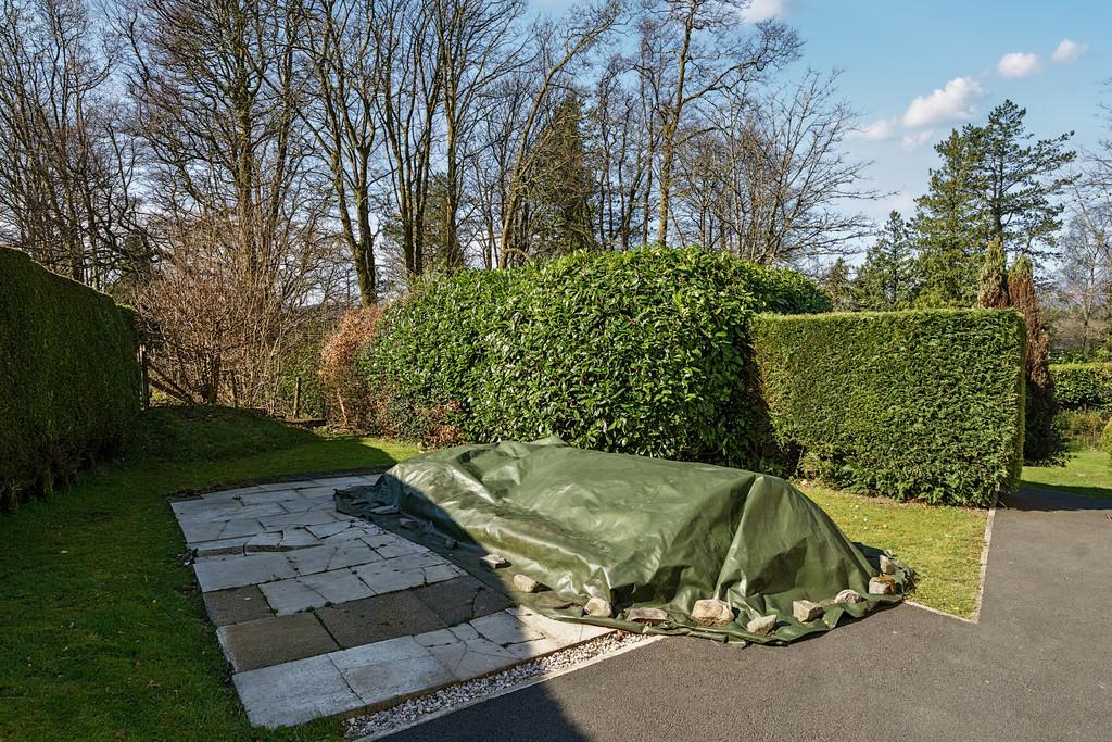 Patio/Garden