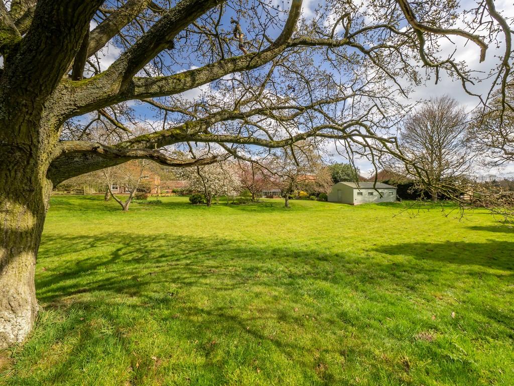 Park Farm-51