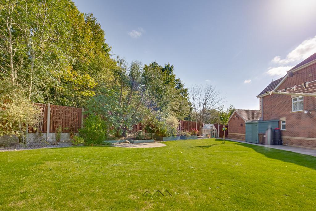 Back garden 1.1