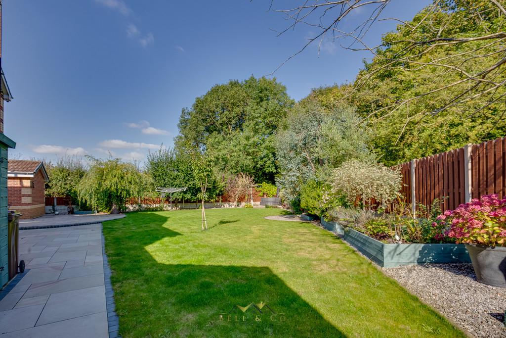 Back garden 1.4