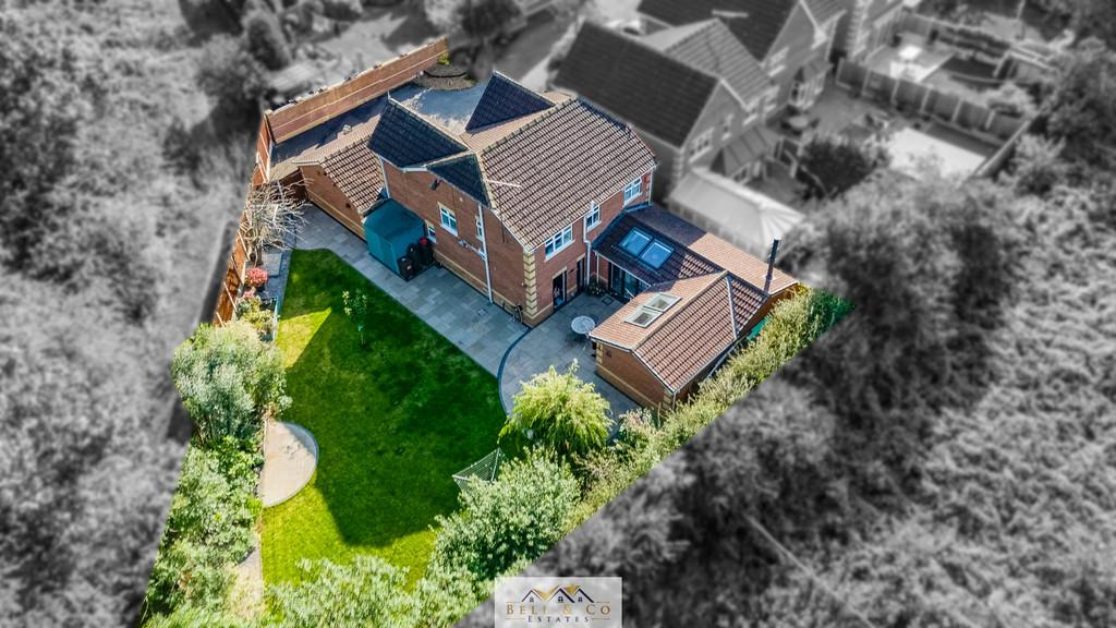 Aerial 4