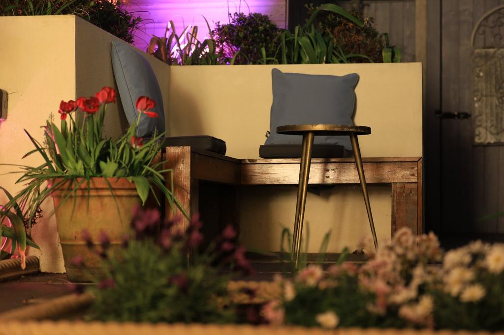 Garden Night