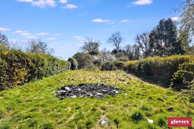 Back garden