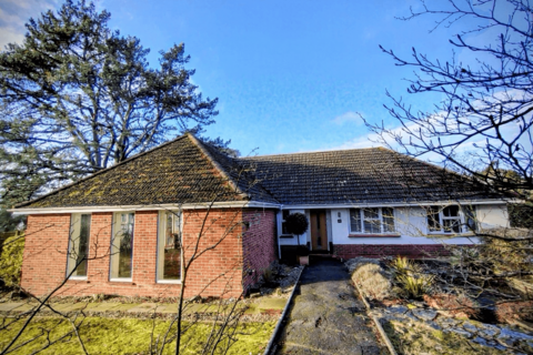 4 bedroom detached bungalow for sale, Pine Drive, St. Ives, BH24 2LN