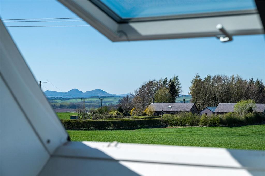 View From Wndow