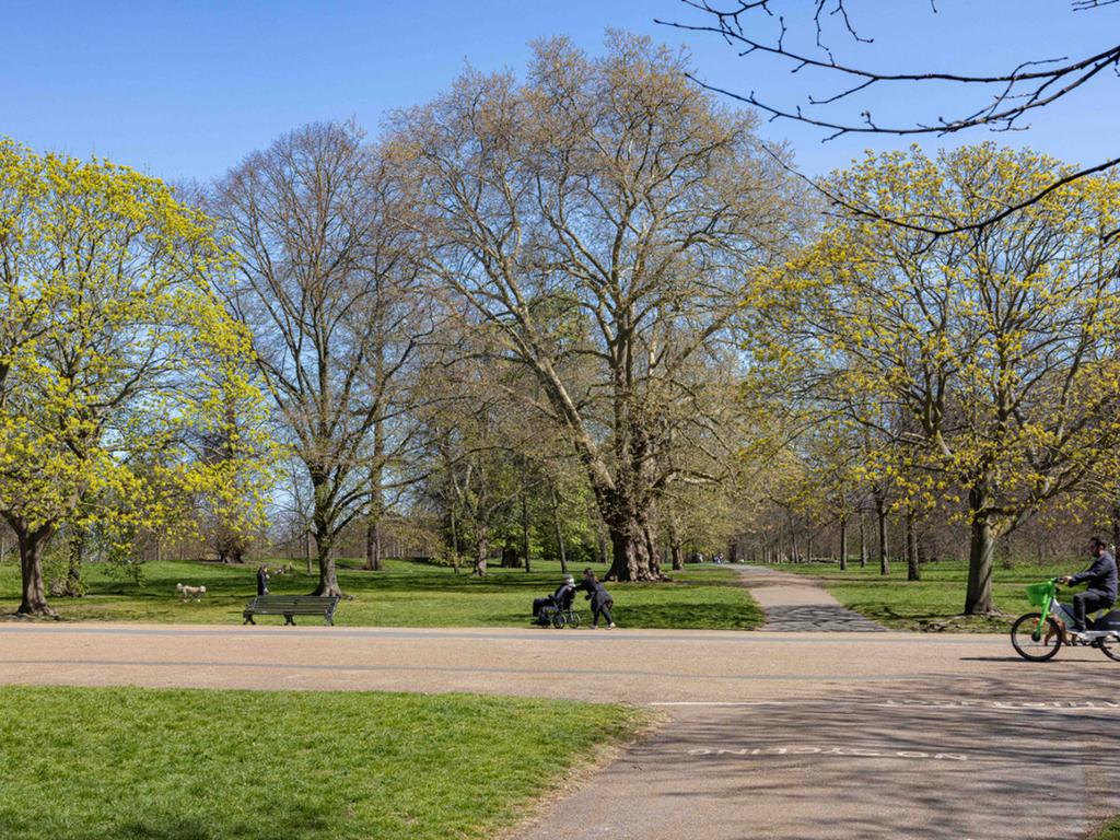 Garden view, garden