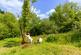 Additional image 20 of Cookbury Court, Cookbury, Holsworthy, Devon, EX22
