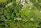 Additional image 33 of Cookbury Court, Cookbury, Holsworthy, Devon, EX22