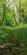 Additional image 45 of Cookbury Court, Cookbury, Holsworthy, Devon, EX22