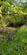 Additional image 48 of Cookbury Court, Cookbury, Holsworthy, Devon, EX22