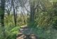 Additional image 39 of Cookbury, Holsworthy, Devon, EX22