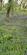 Additional image 42 of Cookbury, Holsworthy, Devon, EX22