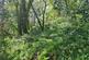 Additional image 44 of Cookbury, Holsworthy, Devon, EX22
