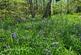 Additional image 46 of Cookbury, Holsworthy, Devon, EX22