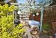 Additional image 19 of Mill Road, Royston, Hertfordshire, SG8