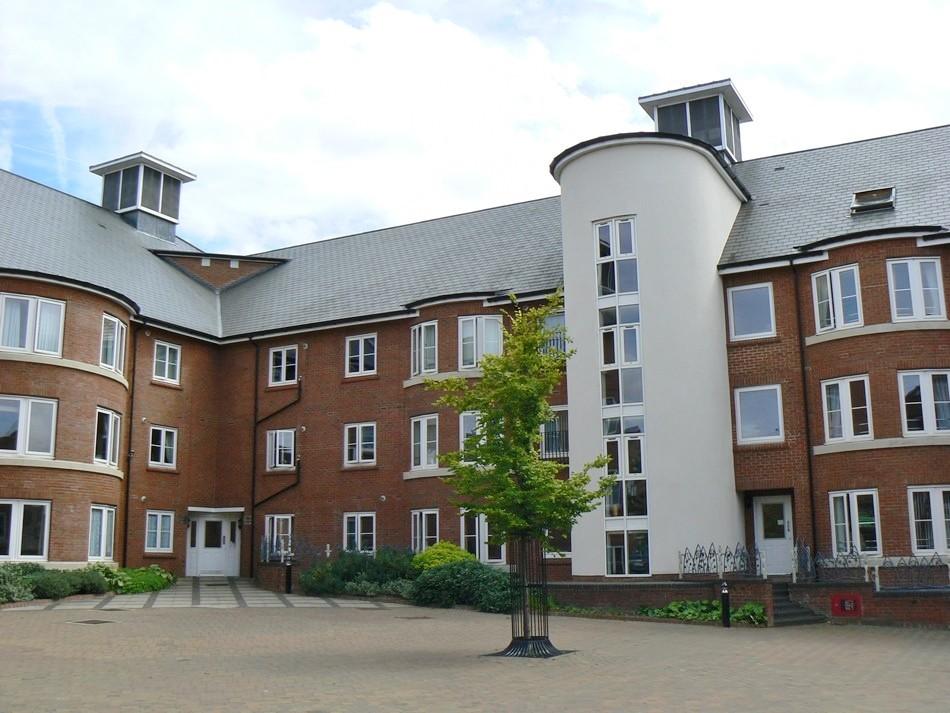 Front aspect (Main)