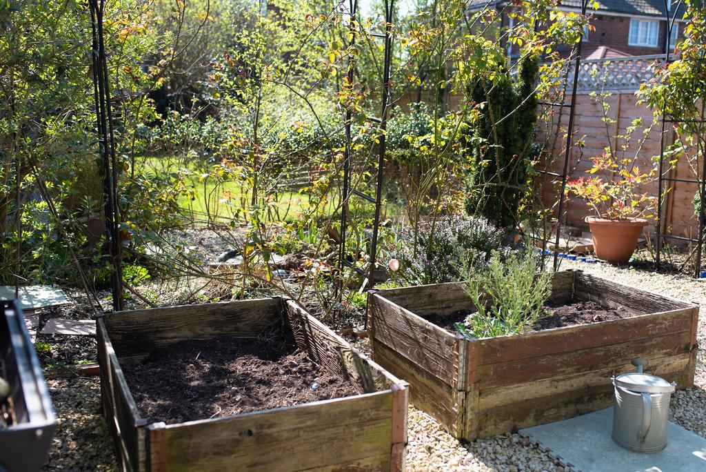 Veg Beds