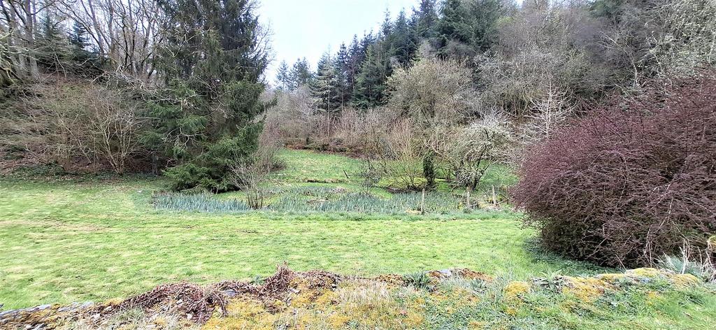 Grounds and woodland