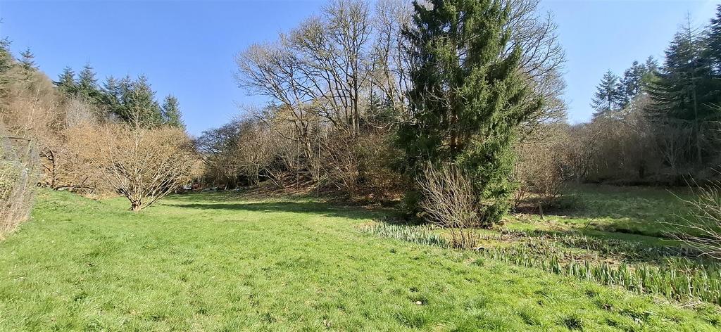 Grounds and woodland