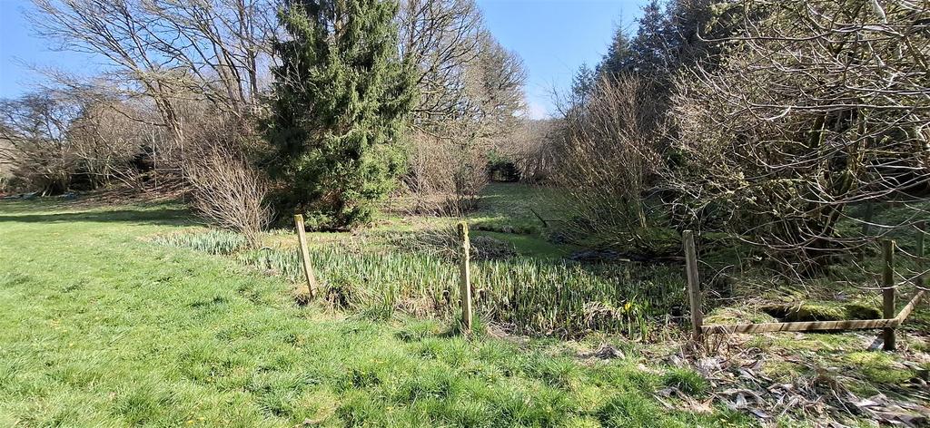 Grounds and woodland