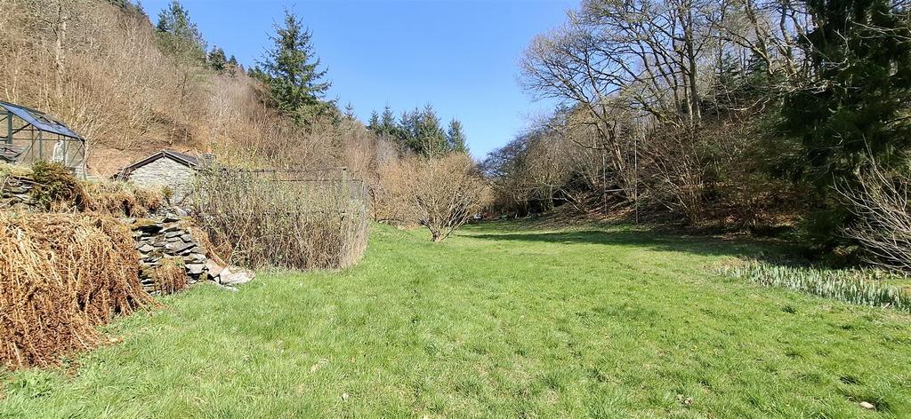 Grounds and woodland