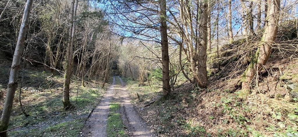 Grounds and woodland