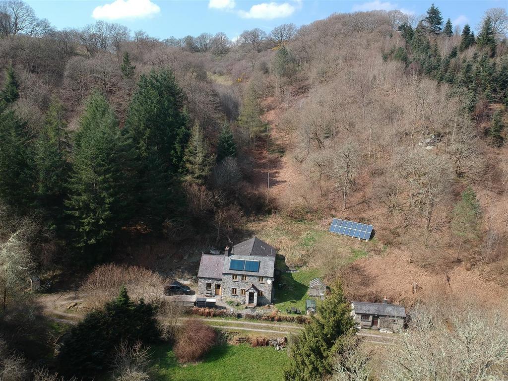 Grounds and woodland