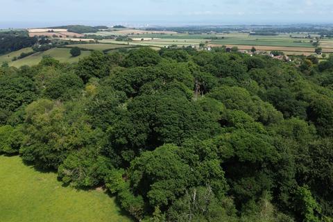 undefined, Holford, Bridgwater, Somerset, TA5