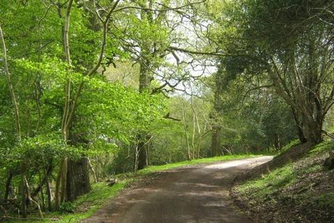 undefined, Holford, Bridgwater, Somerset, TA5