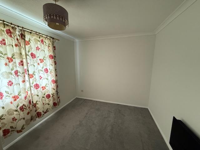 Unknown-10 T202504161151.jpeg