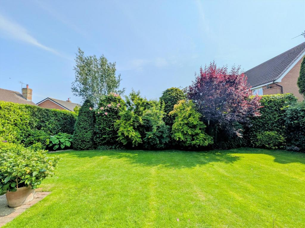 Rear Garden New