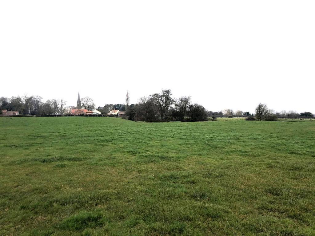 Grassland and Traditional Building