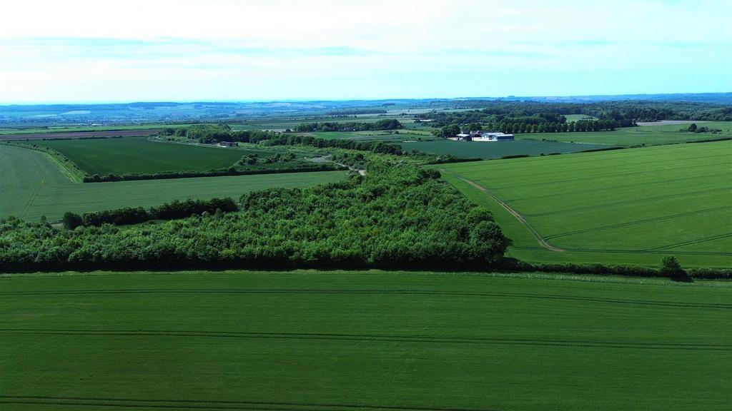 New drone shot 5.JPG