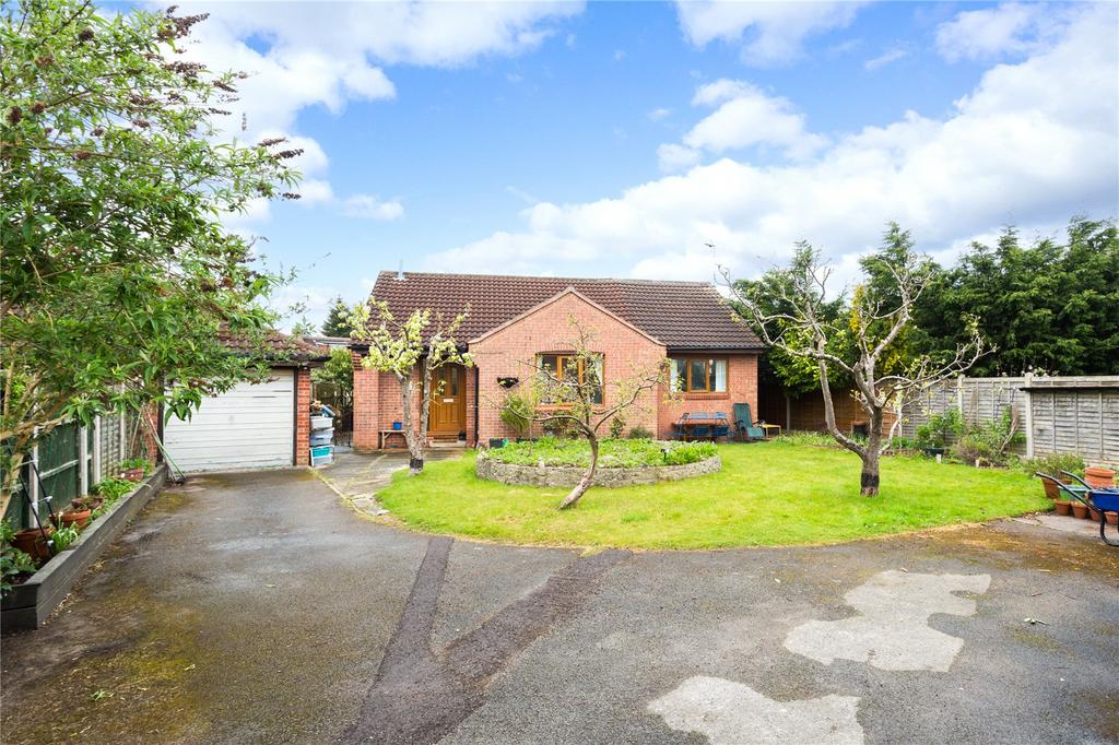Photos