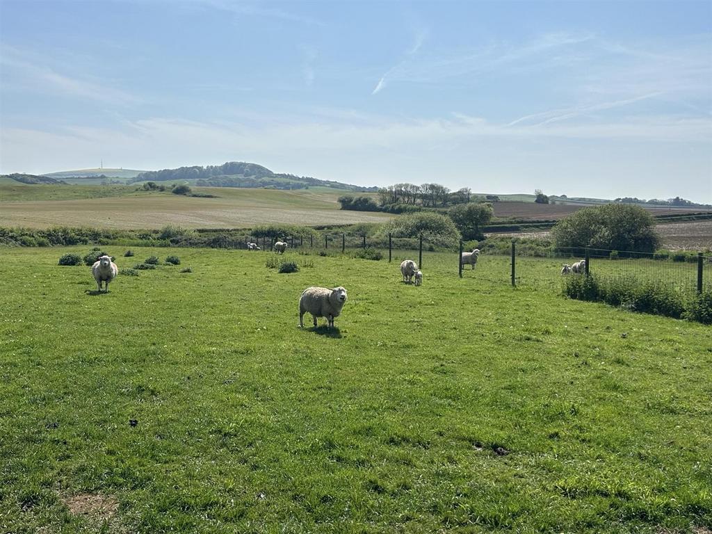 Paddocks