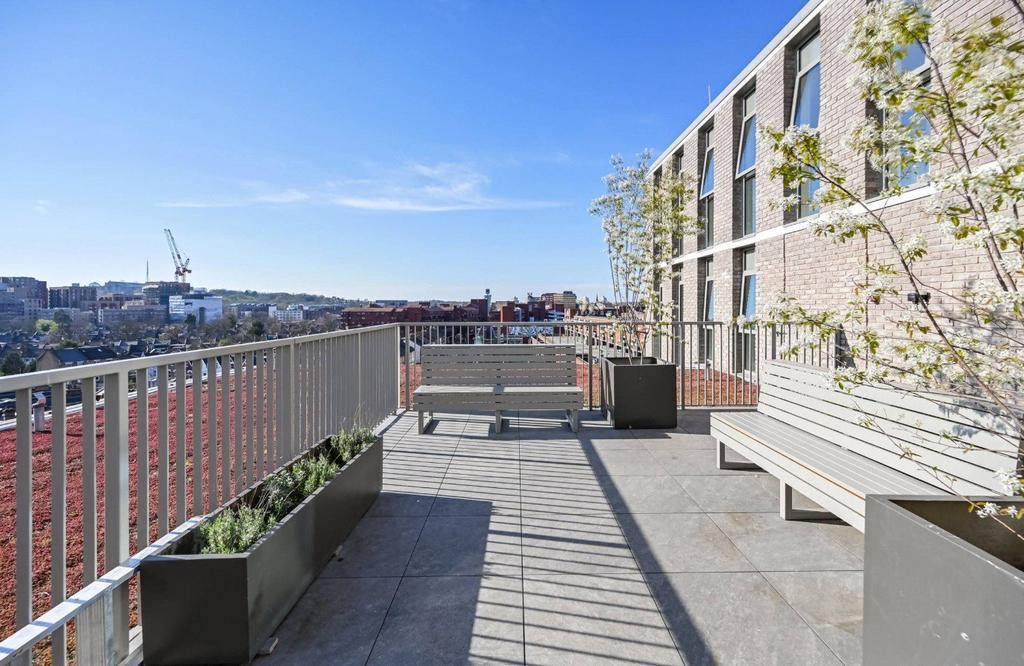 Roof Terrace