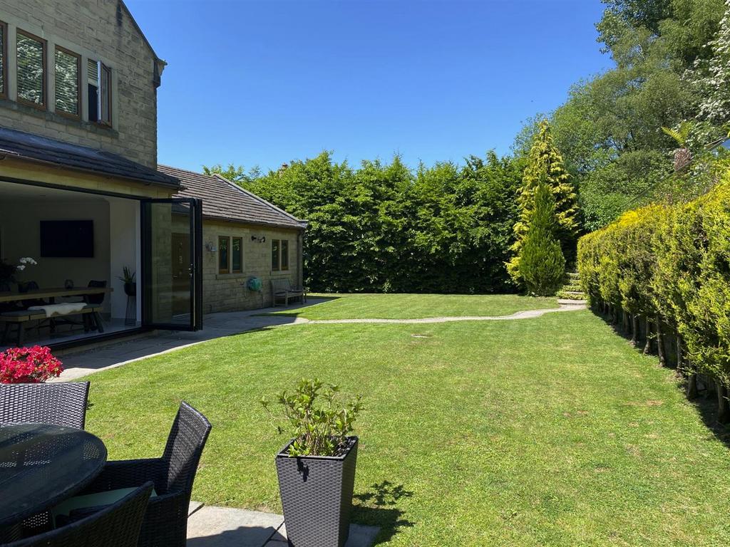 Photo 6479fed96f6d00.50713026.jpeg