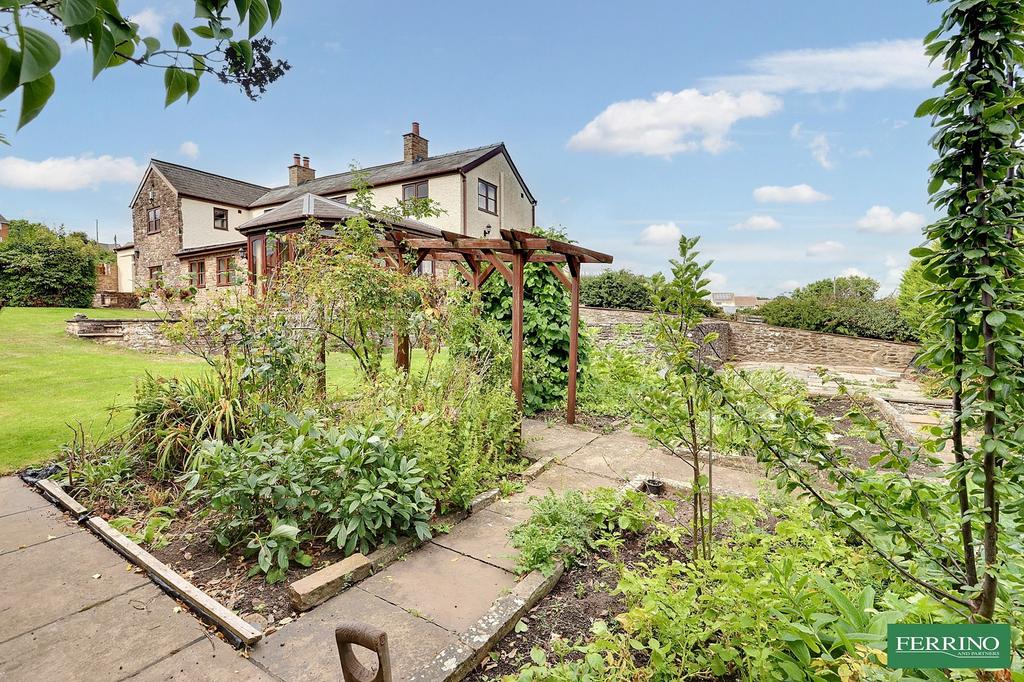 Vegetable Garden