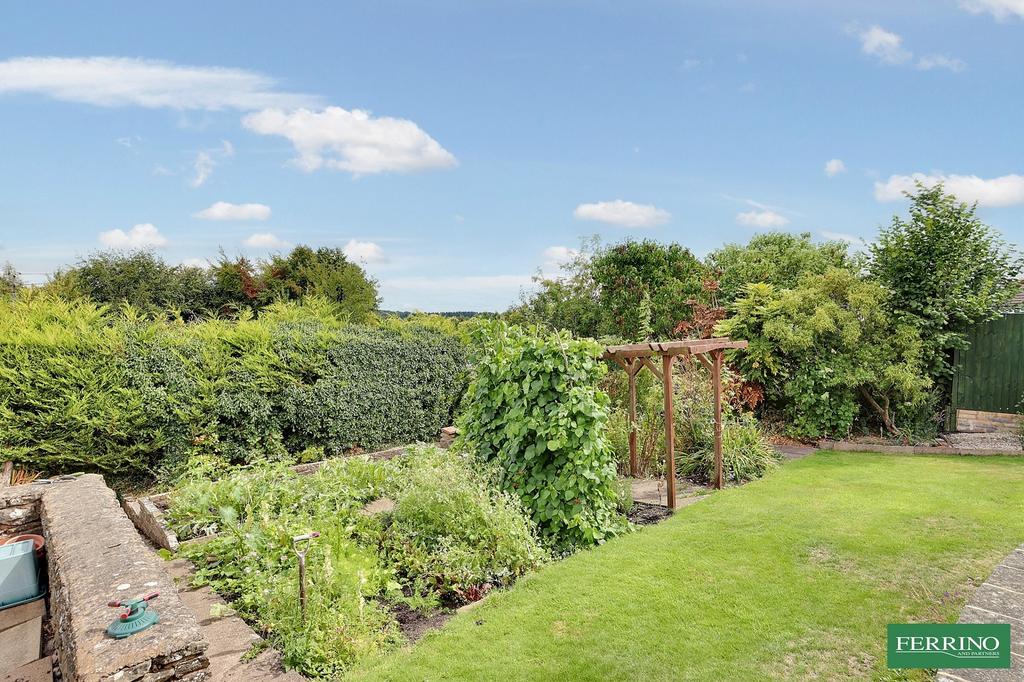 Vegetable Garden