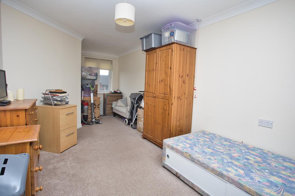 Picture 8