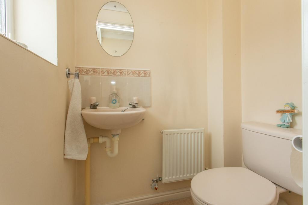 Picture 16