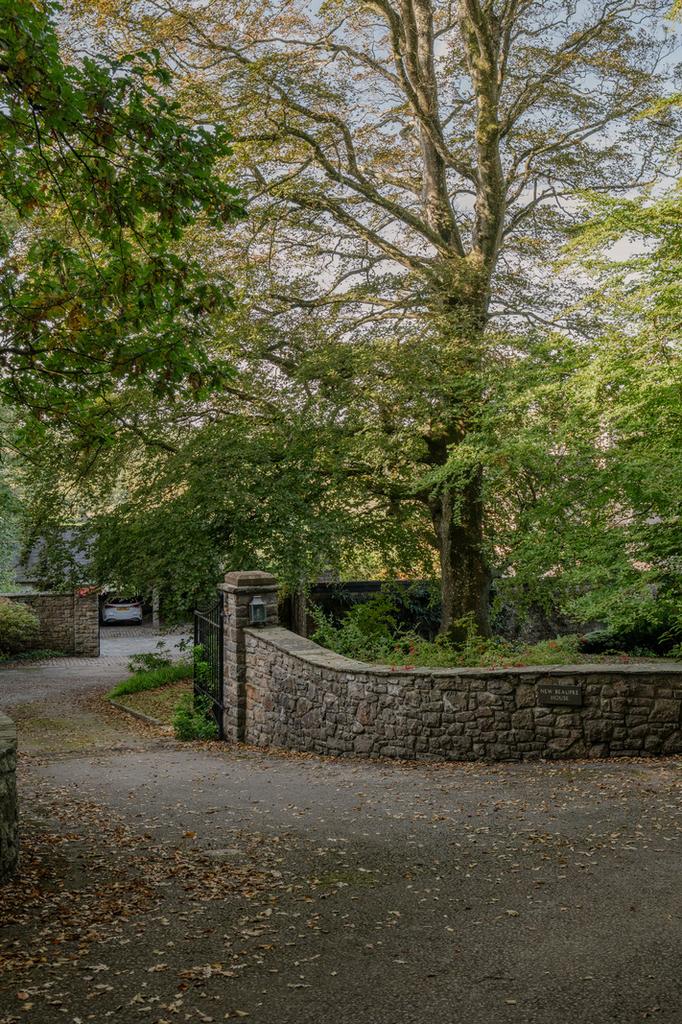 314149 - A741261.jpg