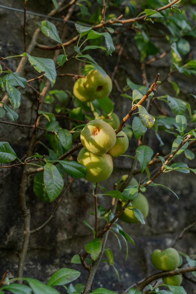 314148 - A741255.jpg